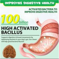 OEM Hot Sales Probiotics Chews For Pets Customized Shape For Digestive Health Pets Supplement Healthy Gut For Dogs